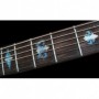 Sticker guitare touche vieux banjo bleu abalone