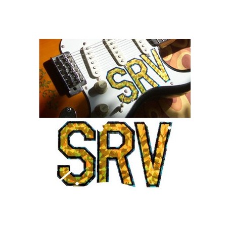 https://www.guitarnblues.com/4461-large_default/sticker-guitare-signature-logo-pickguard-stratocaster-srv.jpg