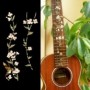 Sticker guitare ukulele vegetal hummingbird tenor