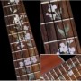 Sticker guitare ukulele vegetal hummingbird tenor