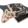 Pickguard Stratocaster Van Zandt Rock noir