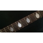 Sticker guitare signature Hetfield doigt d'honneur